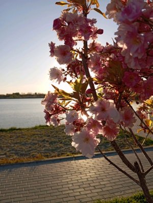 Таисия карамелька 🌸