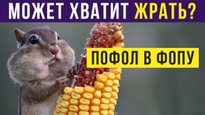 ПОФОЛ В ФОПУ) Приколы