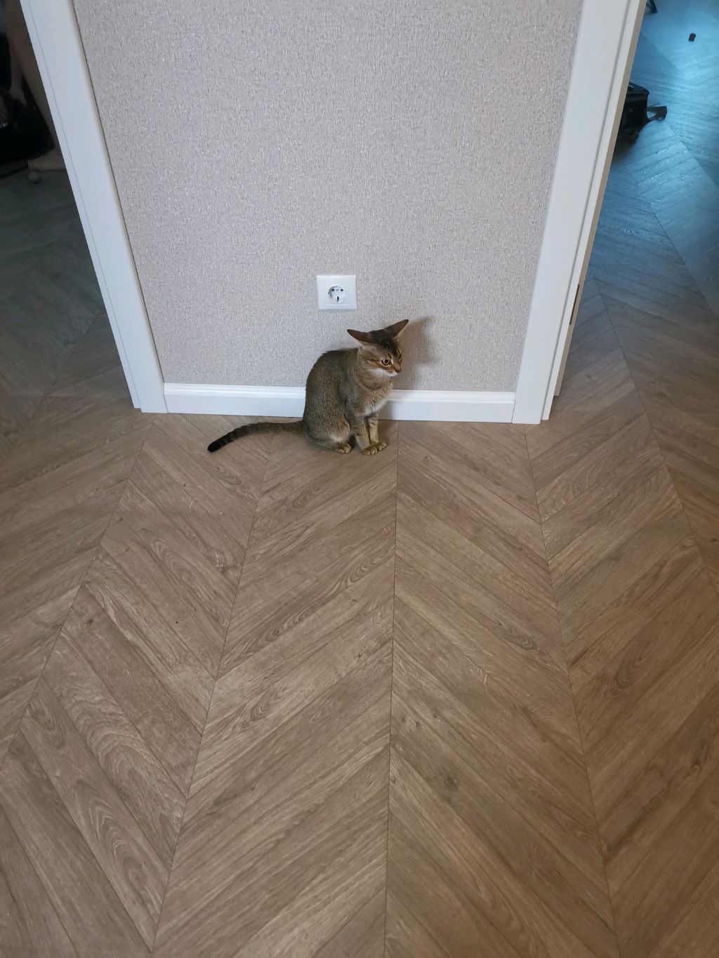 Интересное видео