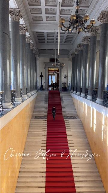 Идем на новые выставки,экскурсии вместе со Светским Петербургом.Эрмитажный блоггер ✨