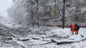 Снегопады в Москве и Подмосковье повредили ЛЭП. Целые районы остались без электричества
