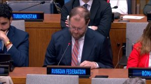 Выступление Д.С.Чумакова на Форуме ЭКОСОС по финансированию развития