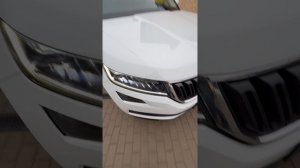 Кодиак 2019 / 2.0 / бенз