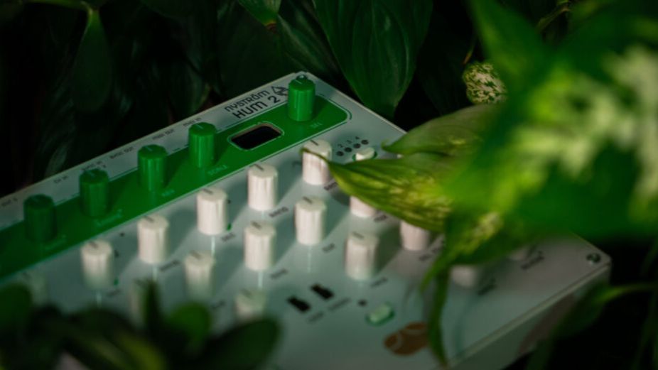 Nystrom Hum 2 Introducing