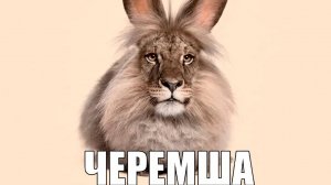 Хотел попасть на экскурсию по Pizzaplex' у но меня пустили на шашлык