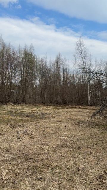 Продаётся участок 8 соток с подведенным электричеством в СНТ Солнечное, ПГТ Балакирево