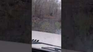 Покатушка на нивах 25.04.26