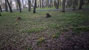 Влог / 27-28.04.2026 / Прогулки, радуга