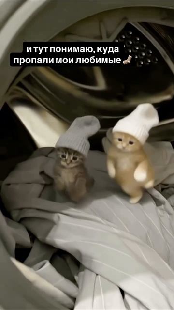 Стирка _#мемы #приколы #ржака #жиза #смешно