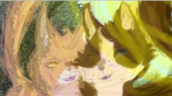 На конкурс меовлу