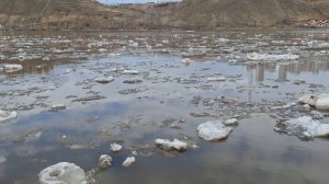 Весна. Мана вскрылась. Красноярск. 2026 апрель