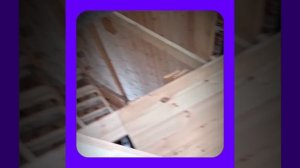 1000057201.mp4 (Собака наблюдает за устройством лестницы на 2-ой этаж в доме А-фрейм)