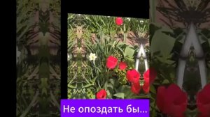 Наталья Морозова Не опоздать бы...