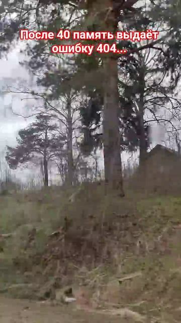 После 40 память выдаёт ошибку 😂