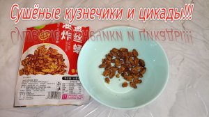 Хрустящие ФИРМЕННЫЕ закуски из куколки КУЗНЕЧИКА И ЦИКАДЫ сушеные!