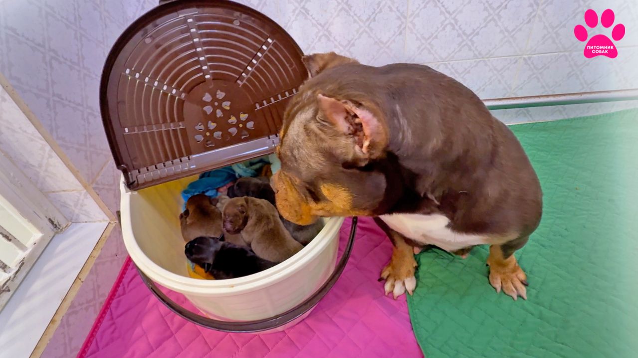 Не всё так просто!