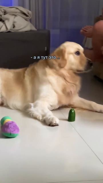 Испытание прошёл 😋))