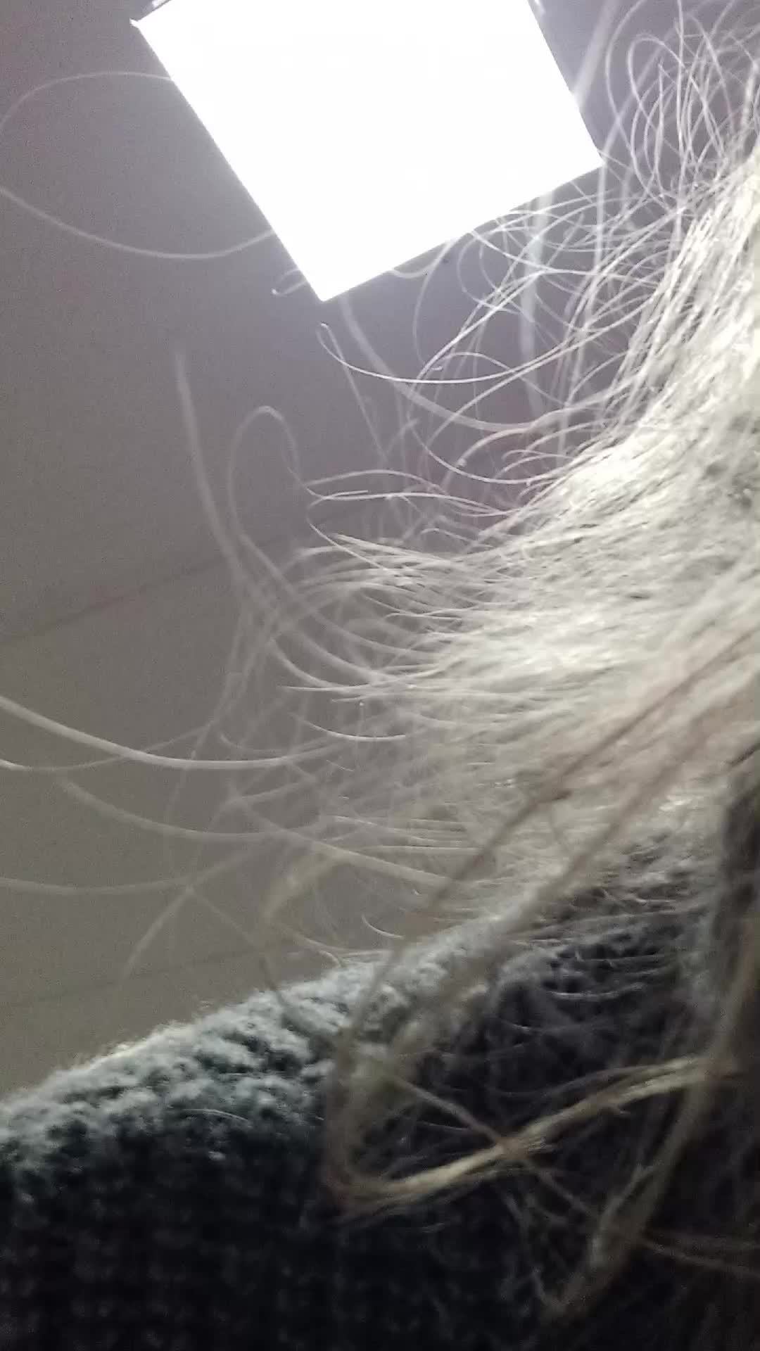 я вас обожаю