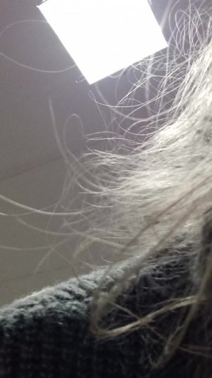 я вас обожаю