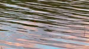 Рыбалка на озере: такого исхода я не ждал…