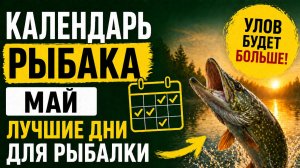 Календарь рыбака на май 2026 — эти дни дадут максимальный улов!
