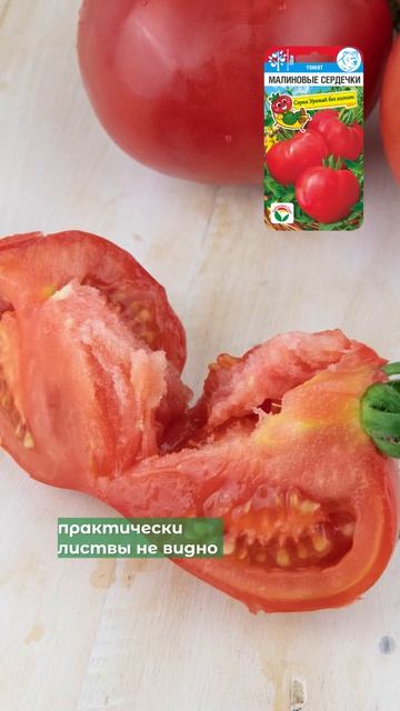 Малиновые сердечки - раннеспелый сорт томата