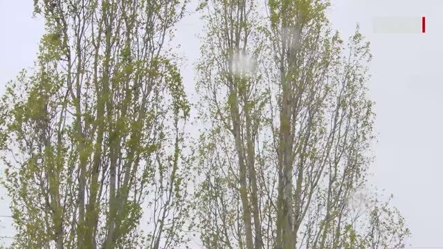 Шквалистый ветер в Бузулуке