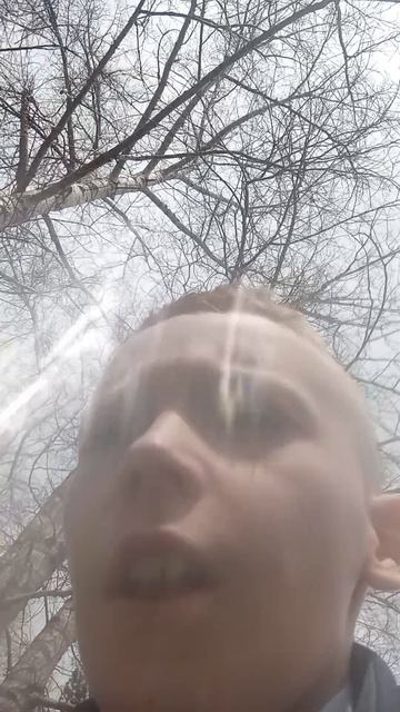 удачи мне на ВПР