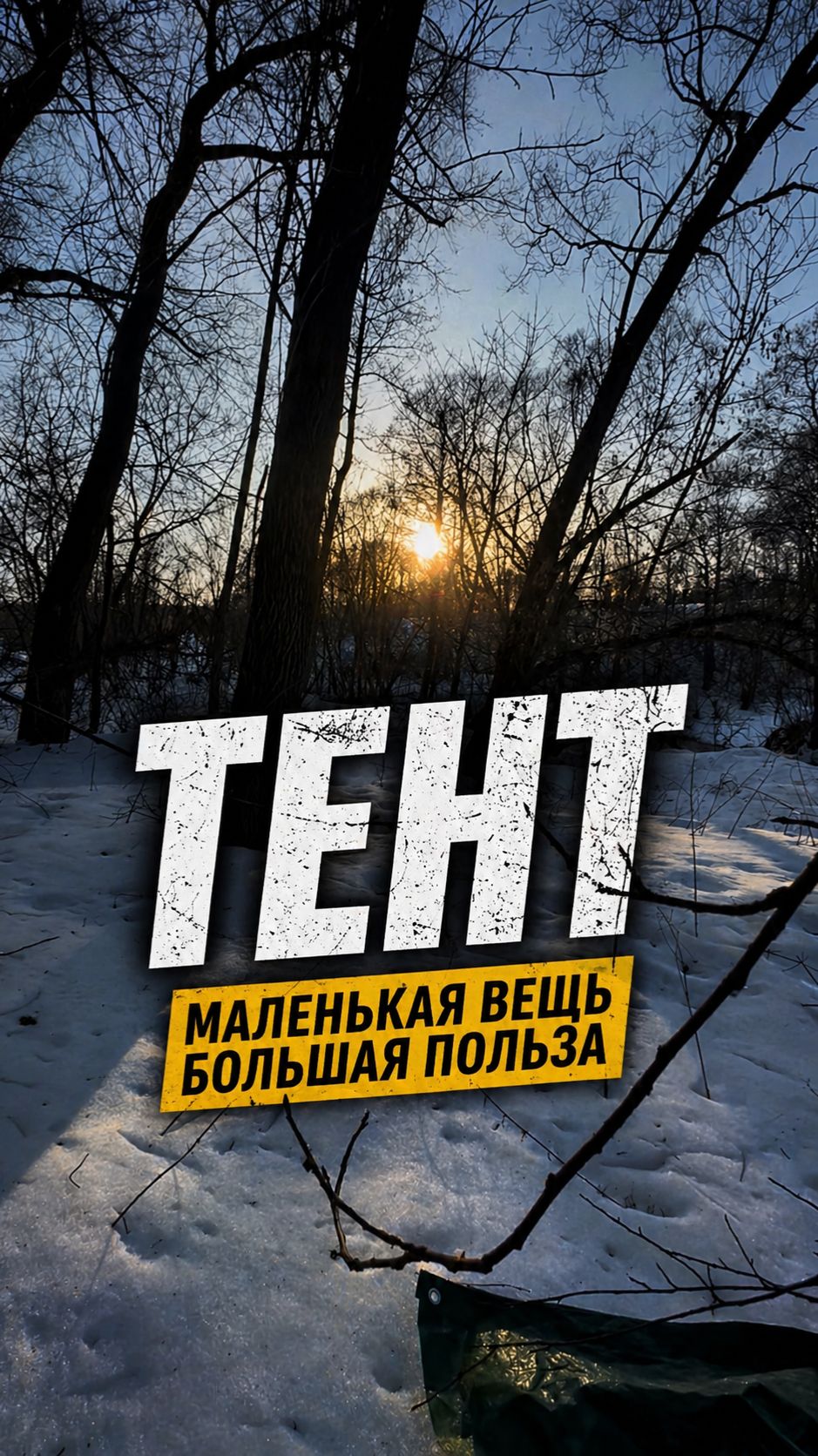 Как правильно организовать свой отдых в лесу