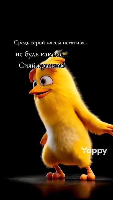 Цыплёнок 🐣. разговаривает это 😯😯 круто