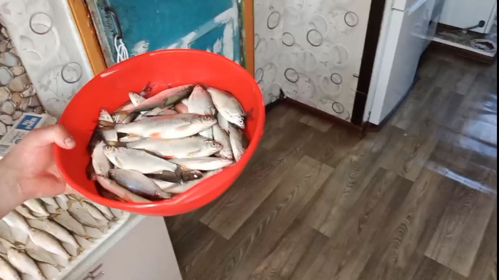 блог/Денис Савенков/Обзор рыба Уклейка)