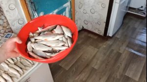 блог/Денис Савенков/Обзор рыба Уклейка)