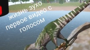зухо и первое видео с голосом