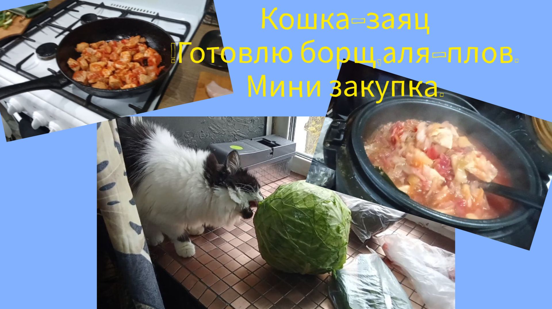 Кошка -заяц.Готовлю борщ,аля плов.Мини закупка.