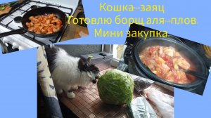 Кошка -заяц.Готовлю борщ,аля плов.Мини закупка.