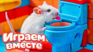 ХОМЯК ВЫБИРАЕТСЯ ИЗ СЕКРЕТНОЙ ХОМЯЧЕЙ ТЮРЬМЫ ! Играем ВМЕСТЕ ! Помогаем выбраться из лабиринта 4