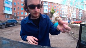 DIMAVIPER КУПИЛ 3 ХИНКАЛИ И СЪЕЛ!