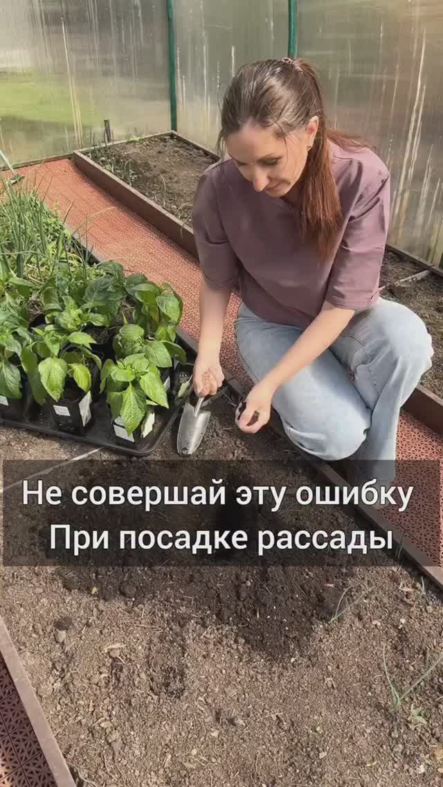 Не совершай эту ошибку при высадке рассады!