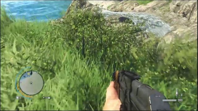 PS4 Far Cry 3 #30 Грибы Прохождение