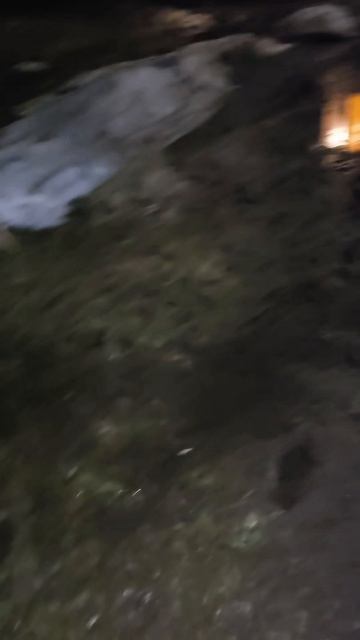 Ожидание: весенние прогулки. Реальность: выход в открытое море. #потоп #весна2026 #паводок #стихия