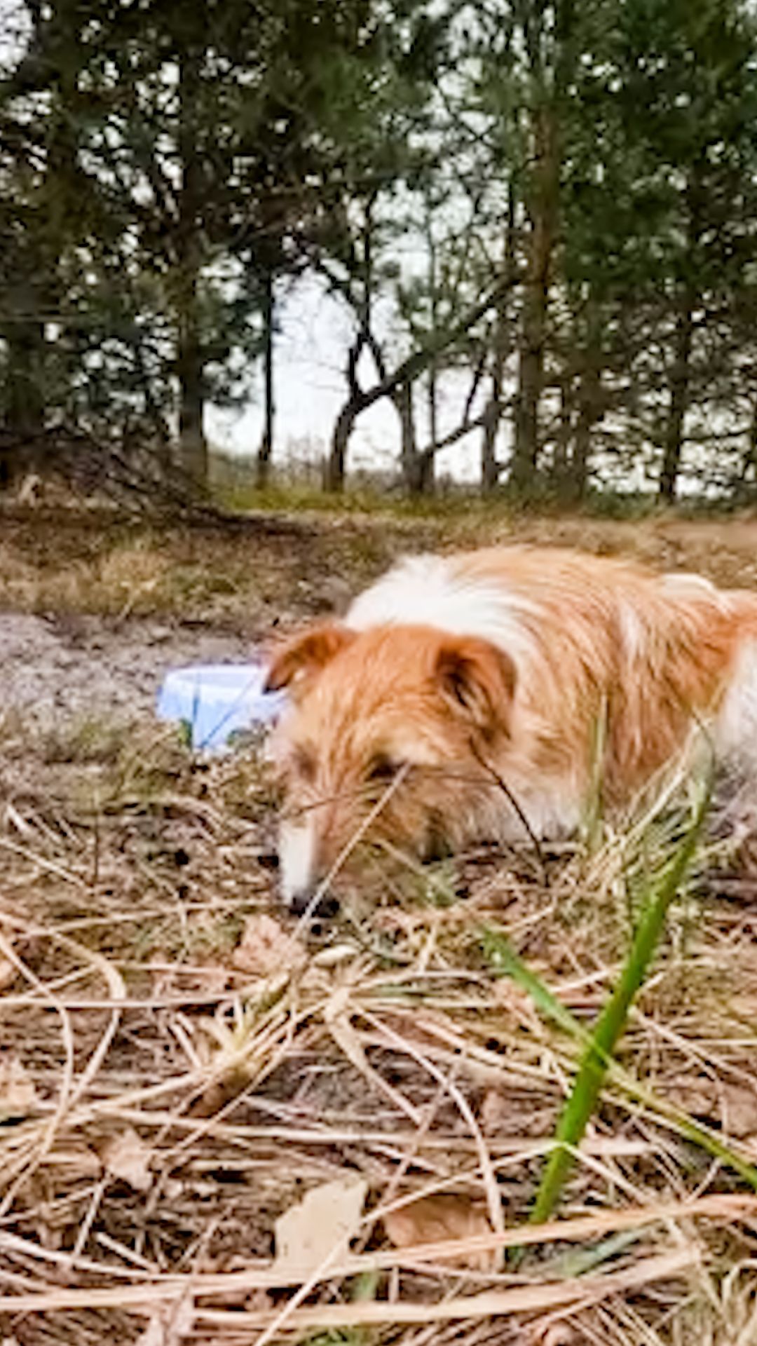 На рыбалке вместе с Рыжиком