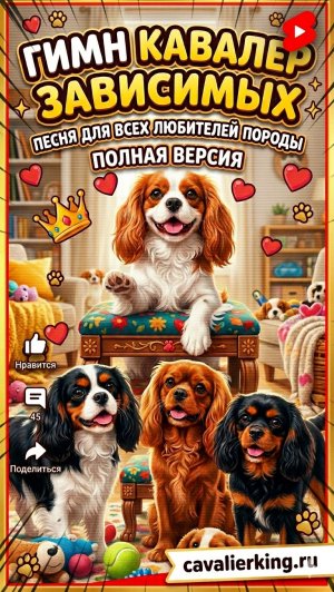 Гимн Кавалер Кинг Чарльз Спаниель зависимых