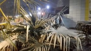 Концертный зал «Летняя эстрада» в городе Анапа, 2026.01.12 --- 07;24