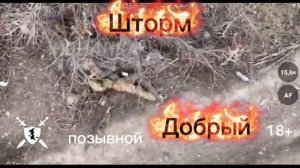 песня позывной Добрый Шторм от Baba Yaga Phenom