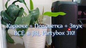 240 Вт + Караоке + Подсветка — ВСЁ в одной колонке: JBL Partybox 310! 🔥