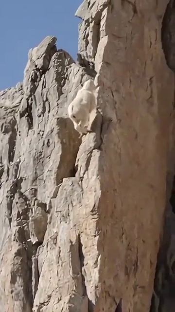 Нарушая гравитацию