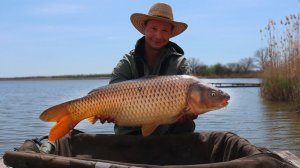 Рыбалка на большого карпа и сазана