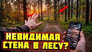 В лесах Монтаны зафиксировали невидимые «стены» которые блокируют проход и ломают технику