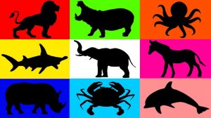 ГДЕ КАКОЕ ЖИВОТНОЕ / РАЗНОЦВЕТНЫЕ МАШИНКИ / РАЗВЛЕКАТЕЛЬНО-ПОЗНАВАТЕЛЬНОЕ ВИДЕО ДЛЯ ДЕТЕЙ / ДВ