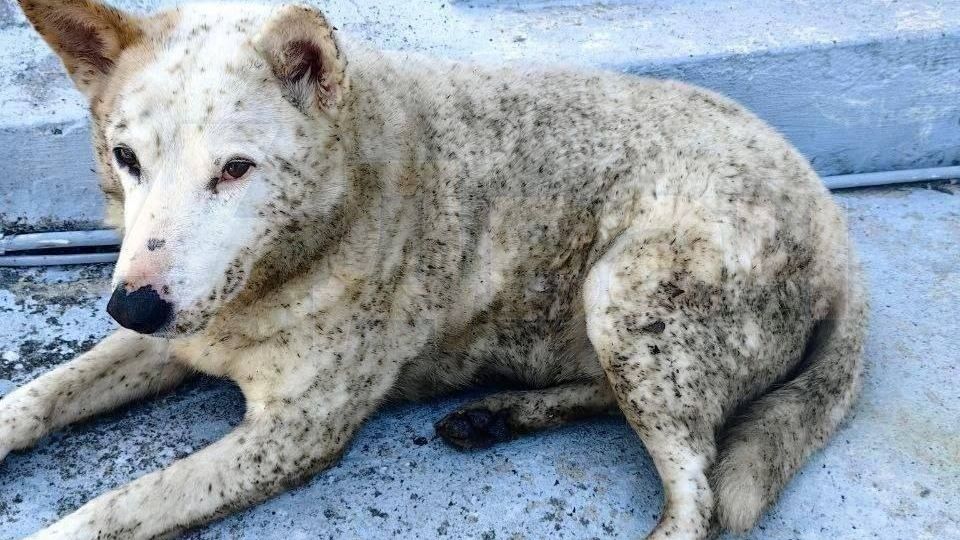 Туапсе, 22 апреля